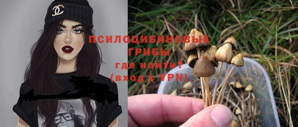 a pvp Балабаново